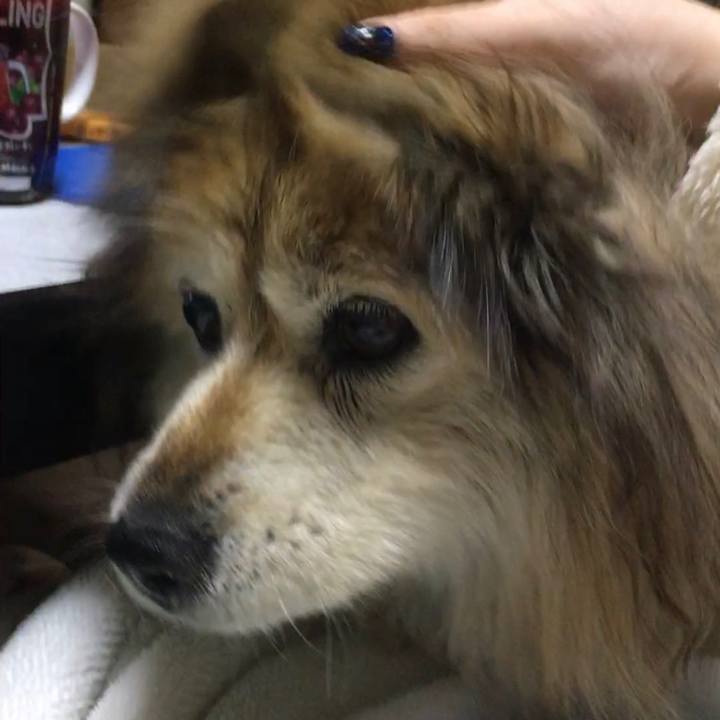 2c9735e4 ac07 4eec 93a5 8a2068603a26 1636390371395