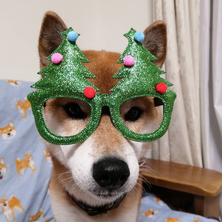 2c975814 9ba3 4ab7 a505 aebc6c36c82b 1668523101959