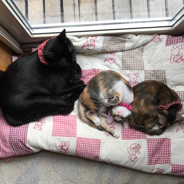 2c97b03e 005c 433e 984b 29a00cf0e0a0 1599993924366