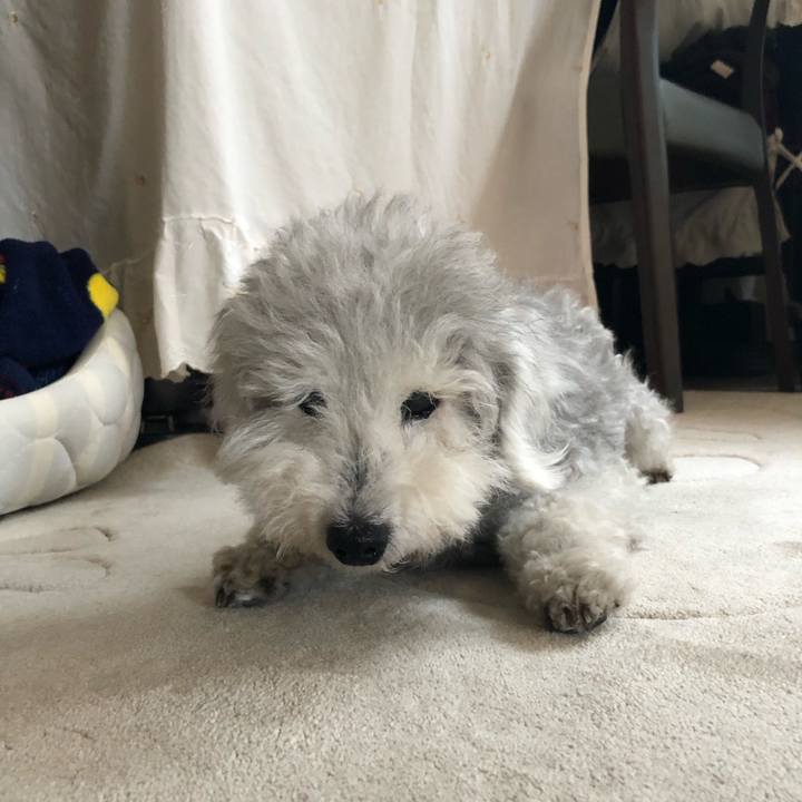 2c97b3e4 3226 46e7 8c3b 15ed46647782 1657261198180