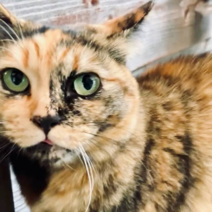 2c97dbd5 7dc3 4f7e 9c6e 7239f9d3f1ab 1734764584446