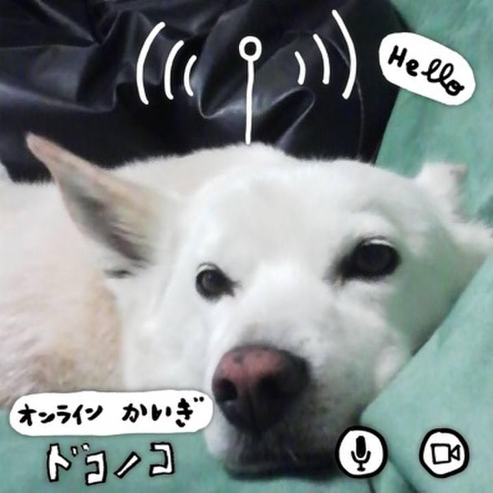 2c97f38b 06ab 420c be71 138bd88686e6 1590828670706