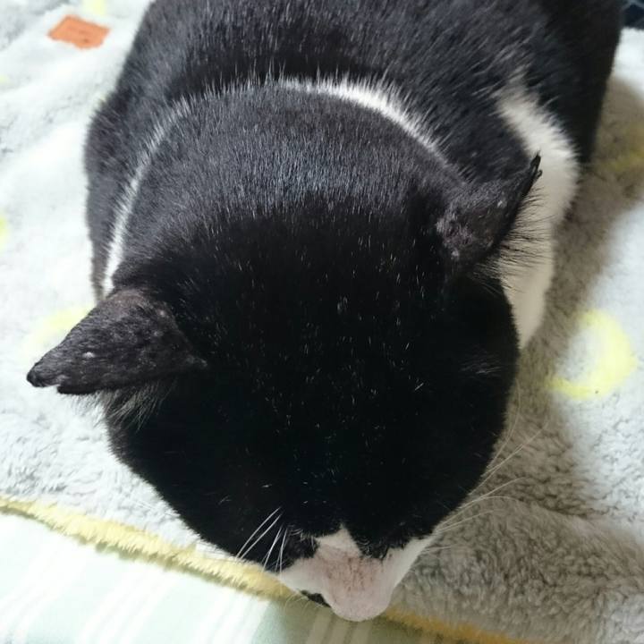 2c9820c5 e704 4940 911c beab0a9c9393 1509102143179