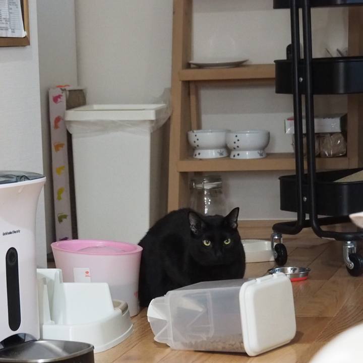 2c98279a 783a 4fc6 8dfd 419773b4fb37 1546696022929