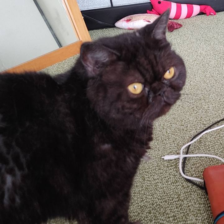 2c983da4 cb19 4ce4 9502 c551e2548cb1 1629608722409