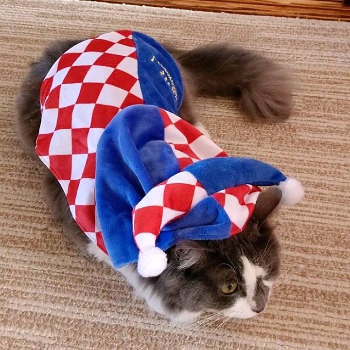 2c9859f4 0f02 4058 8dd5 b90b1ace217b 1599288914514