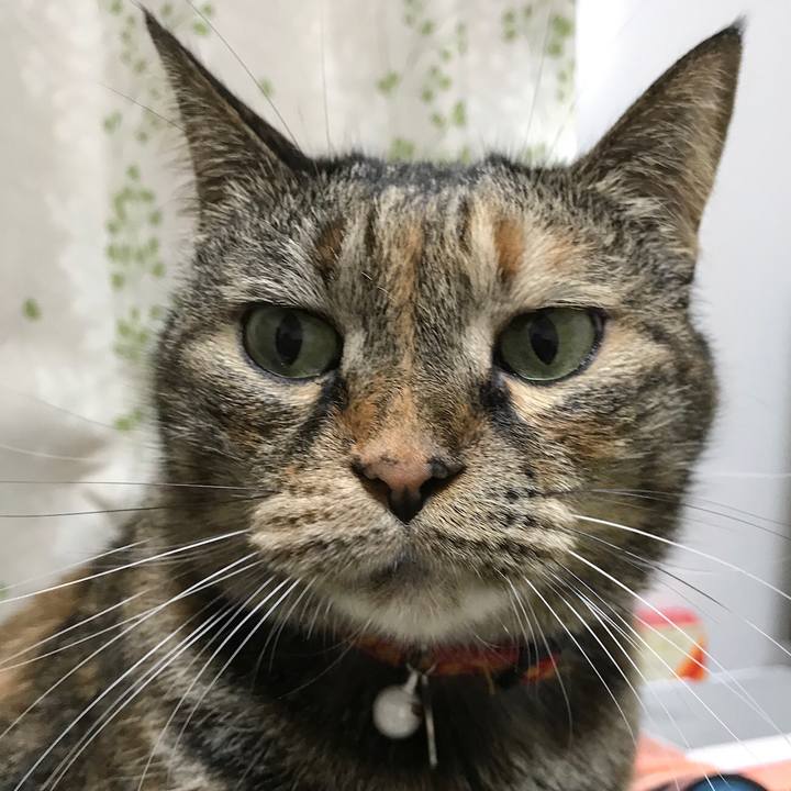 2c985d47 5883 4ff9 a0ef 8f4cf4cd22a7 1522417255110