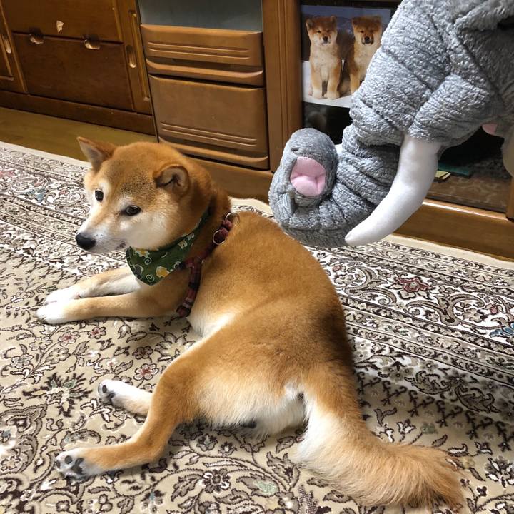 2c98930c 7412 4b7b a93f af0c5a3bb62a 1531217517177