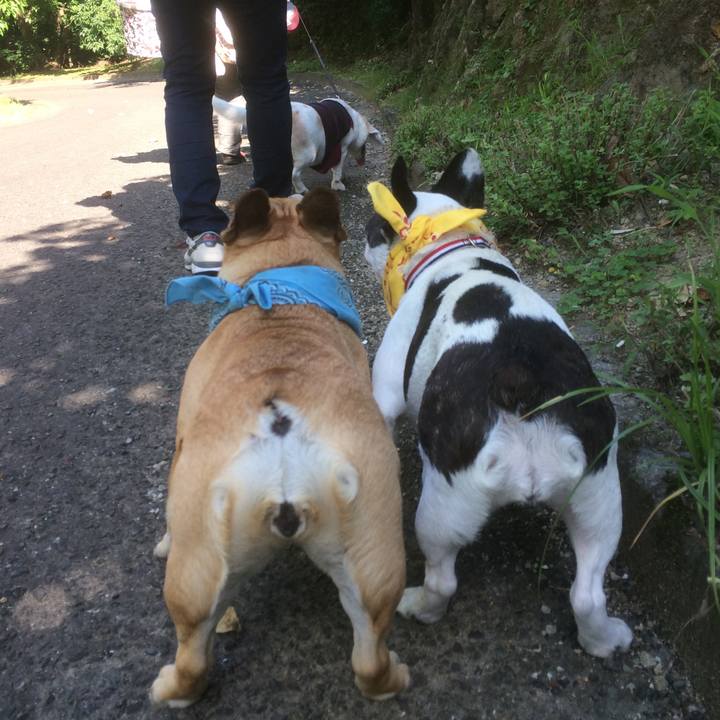 2c9898b9 561a 4245 b1d1 578f9a3a7cc4 1667578439532