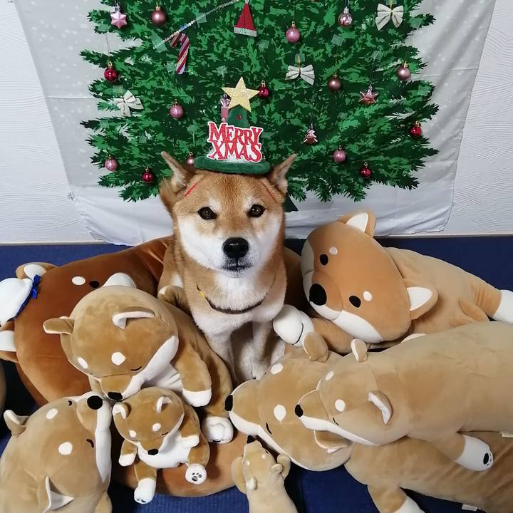 2c98b74a 2f67 4faf acec 69ee6880dd2d 1607079520237