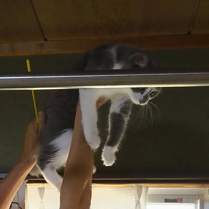 2c98bc78 eda9 490c 8893 db4908cb3bbe 1567932653143