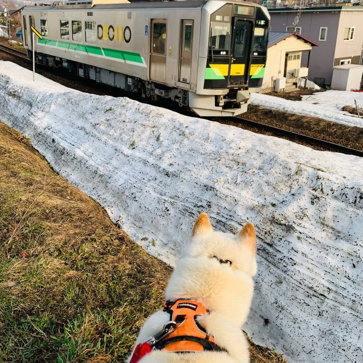 2c990fca 5e3d 4d7d 9d69 550318ba48f1 1649627776522