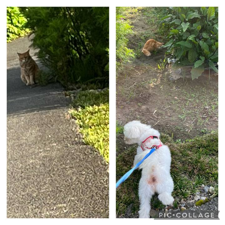 2c99142f c328 49a4 a62a 52fee6ee9d5b 1658699714253