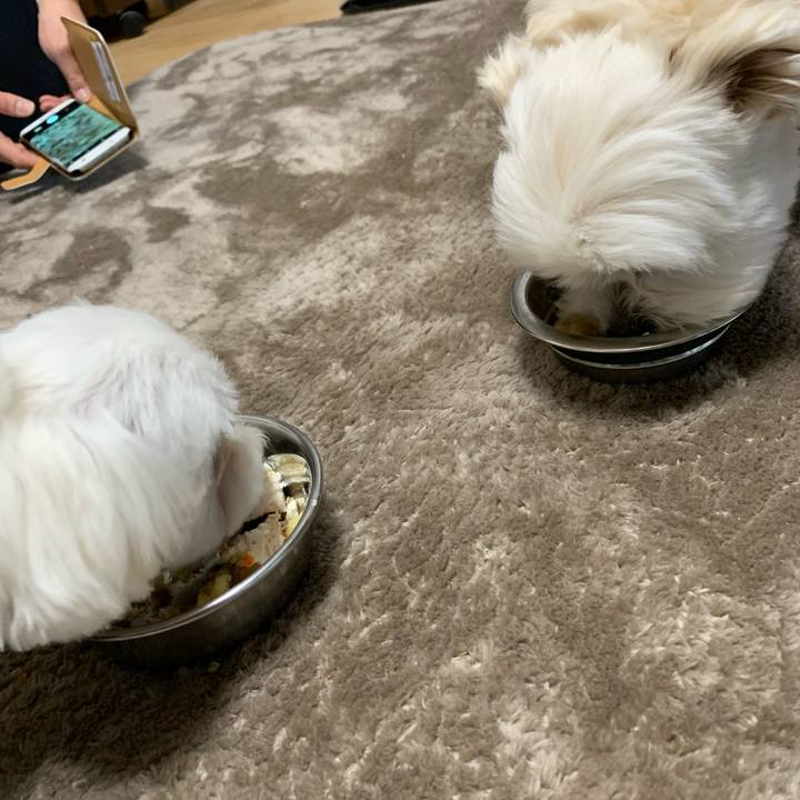 2c991c45 8d78 4329 b2be d451b7b6215c 1616745072325