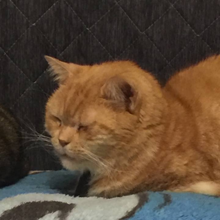 2c9933d4 1085 4a73 9723 f78a805dd32b 1556456750199