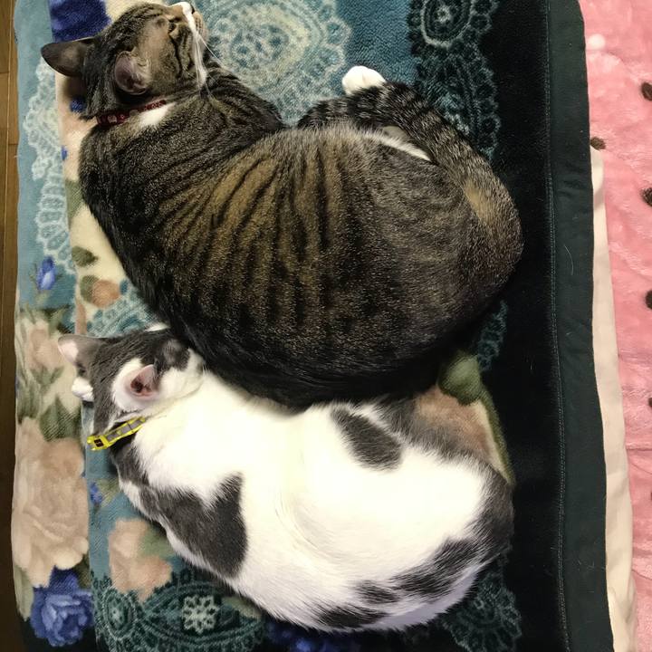 2c9949e1 cebe 467f 9a48 4d797f5c3813 1521158619919