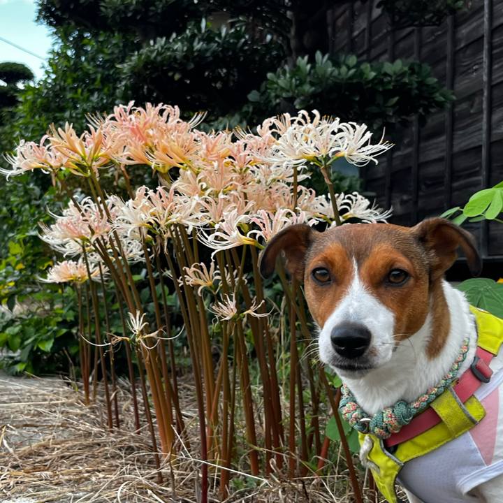 2c99a136 3480 4de9 b171 9bc09e4f850c 1759487624011