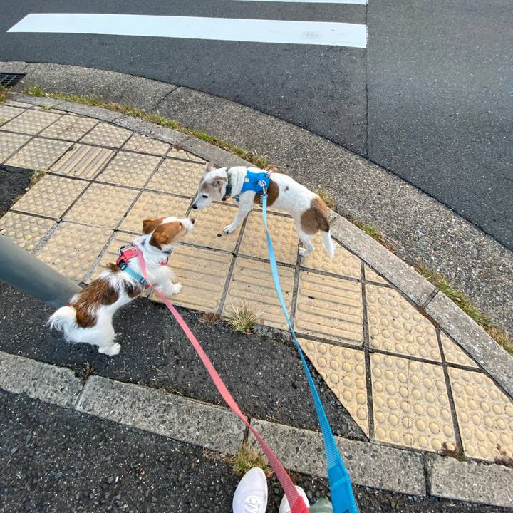 2c9a0137 392d 4731 9da0 fa218842b9b2 1697493987440