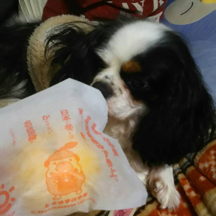 2c9a0ce7 69c7 4066 97d4 a97ee92f060f 1513948943205