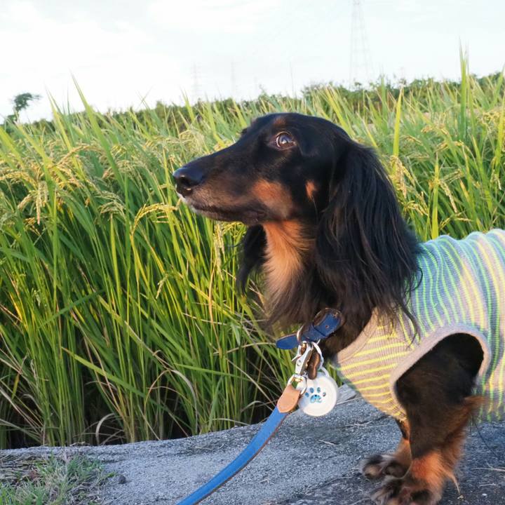 2c9a4496 2c49 4677 ac60 8349be7cf706 1537665336024