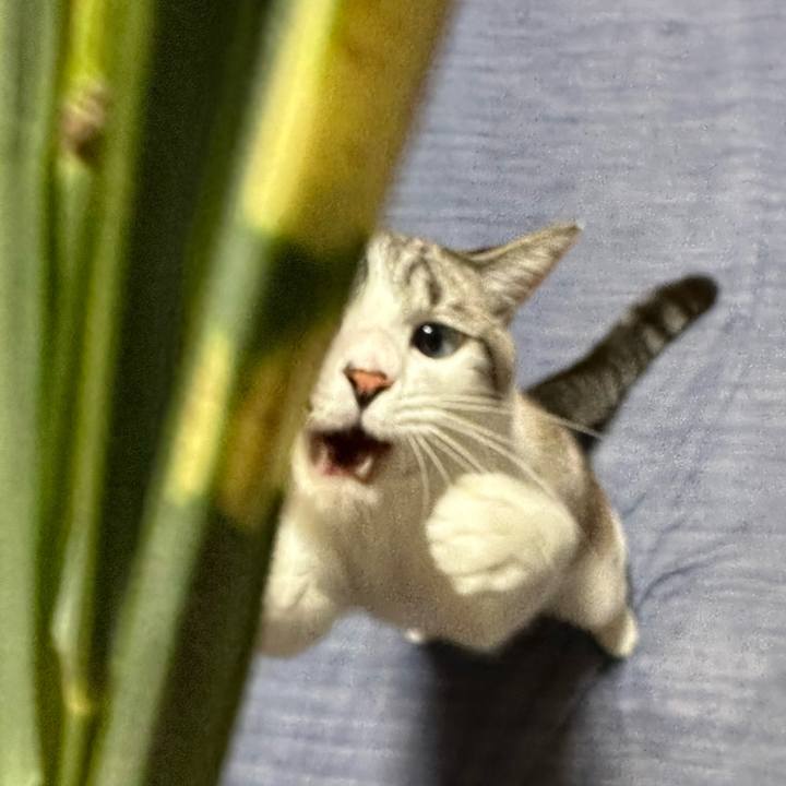 2c9a84cc 9cd0 4566 8593 26ed95081c57 1726913842972