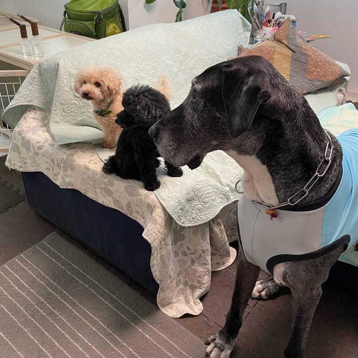 2c9abd83 5bac 43b4 9a29 9aea406faa8d 1632177758532