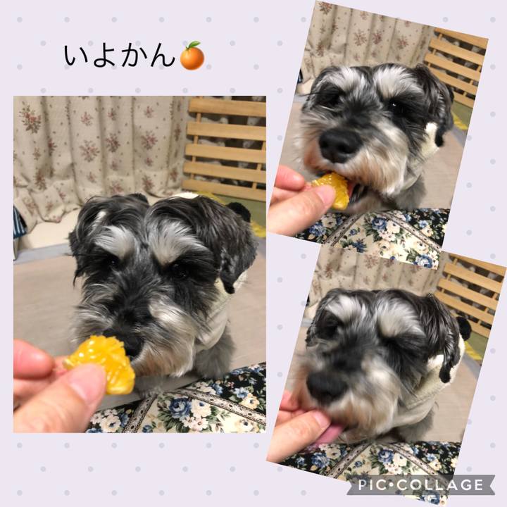 2c9ae2e1 e306 4a4c 9812 e5d854ae3757 1642859286168