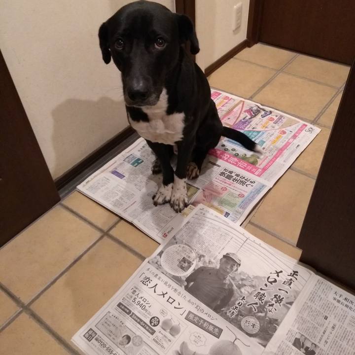 2c9ae400 0cd2 4082 93c5 3aeab187c6c8 1615631880370