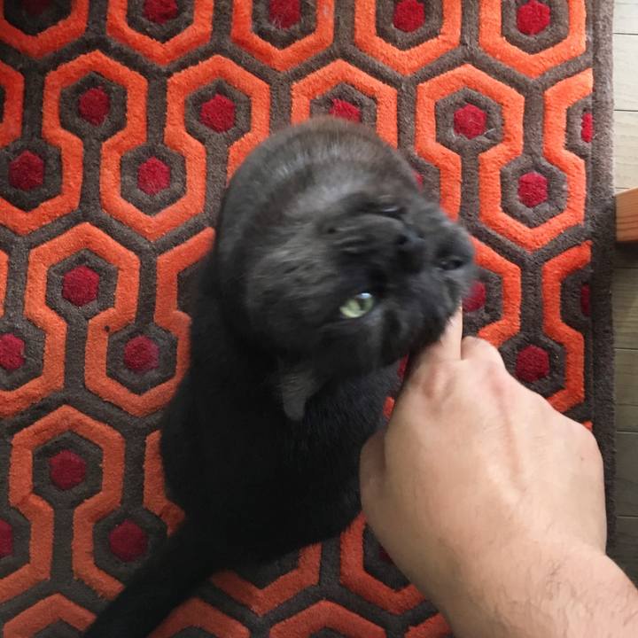 2c9ae4b6 06ad 40b7 8f16 368393936cb0 1562226074565