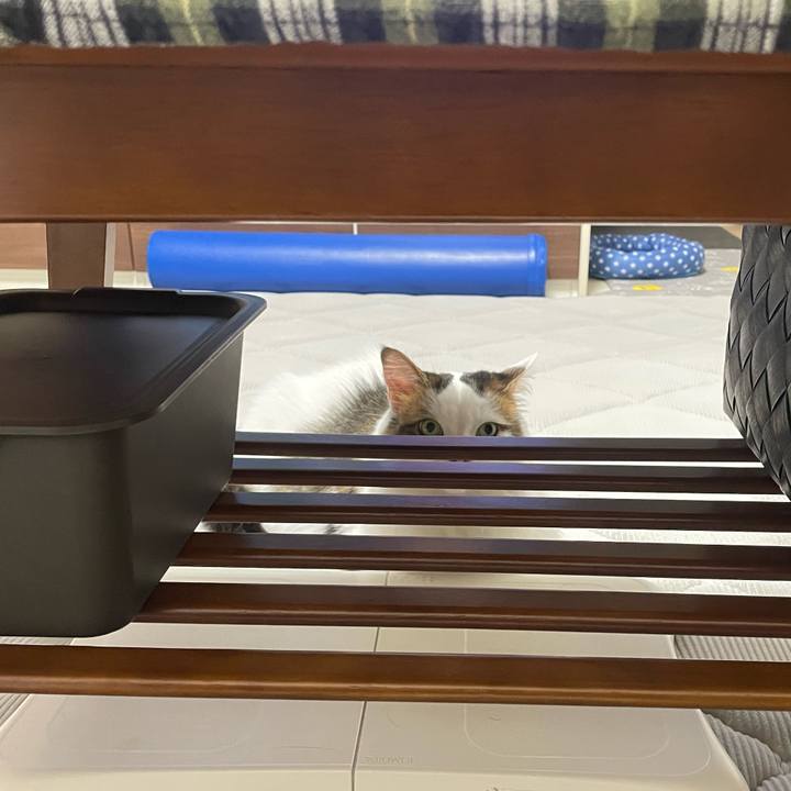 2c9aff1f e296 49e2 81d8 896ba3cd928f 1760785145174