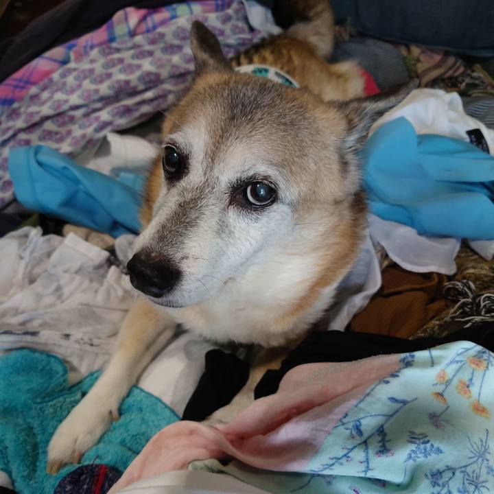 2c9b0bc4 467d 4b0f af3b 2d4c0070e94e 1693903988139