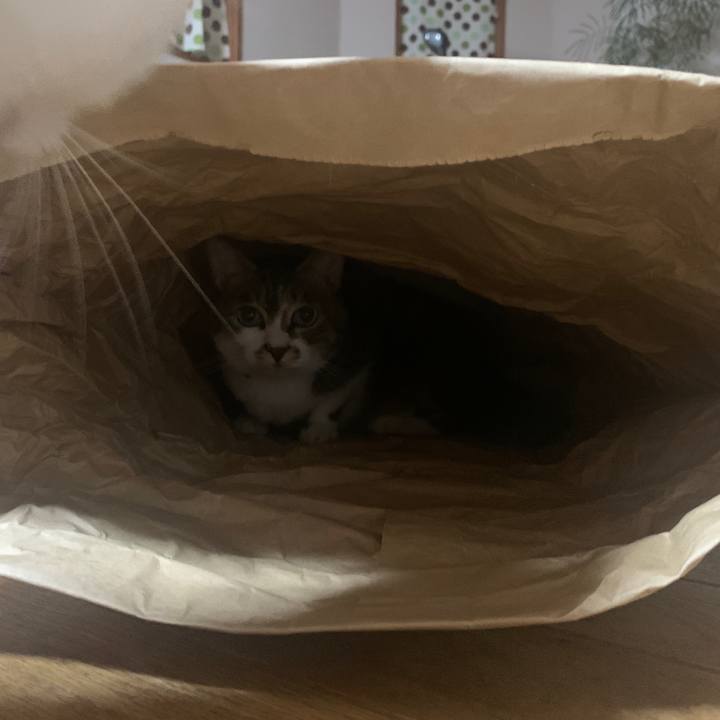 2c9b110c 7736 4577 9647 9c7cfd0593e2 1665748337482