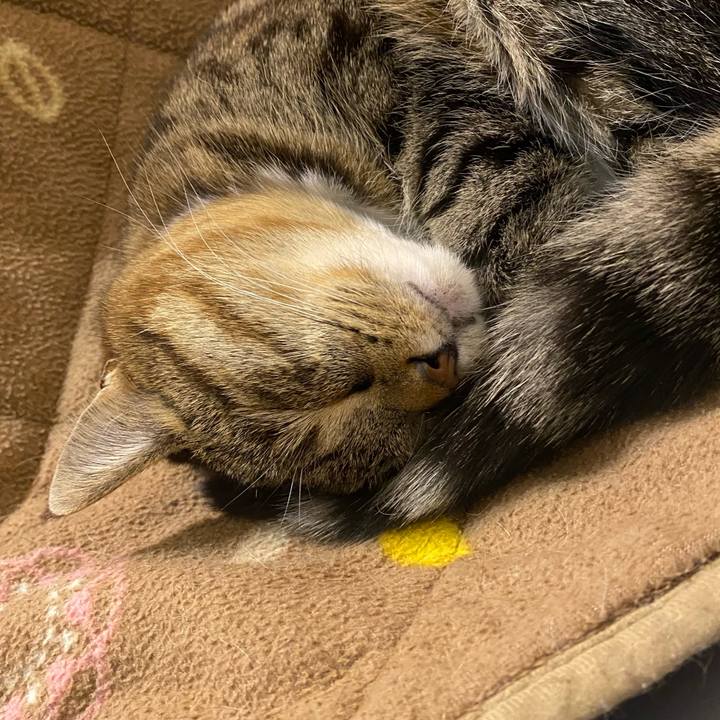 2c9b8283 03a1 4d40 b1b1 0309df4b25df 1646597347208