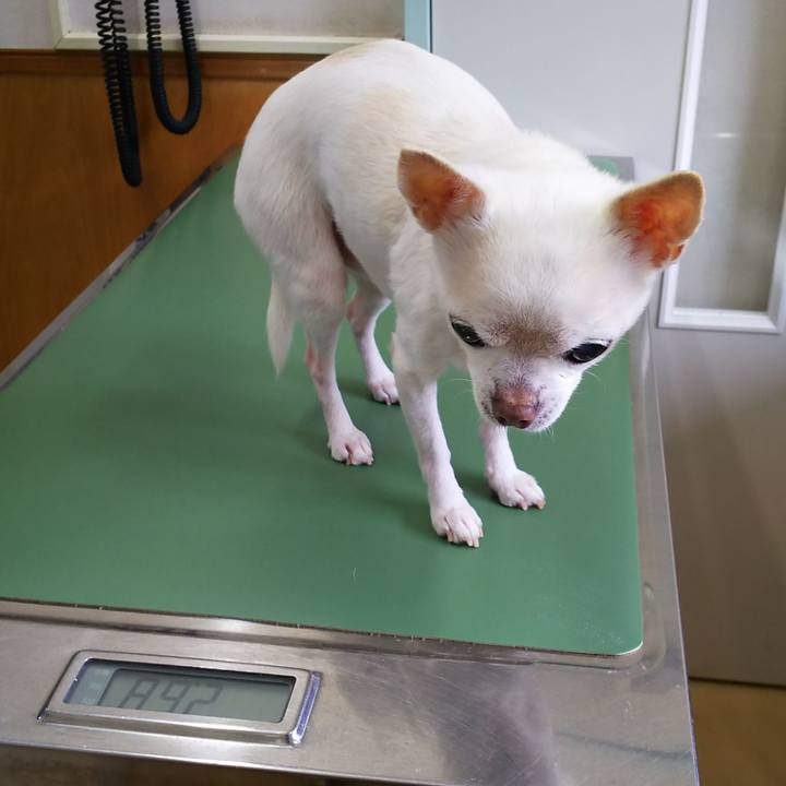 2c9bebcd 88dc 4d34 aff2 8e04c091ca47 1538518568073