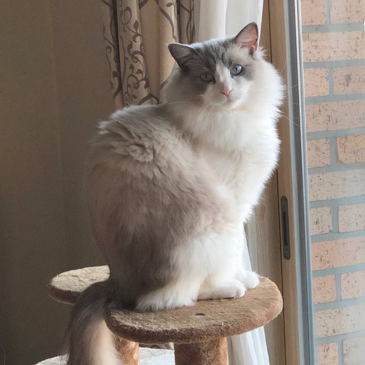 2c9bfd2b 894b 411d b0f5 fded52313f88 1577933647164