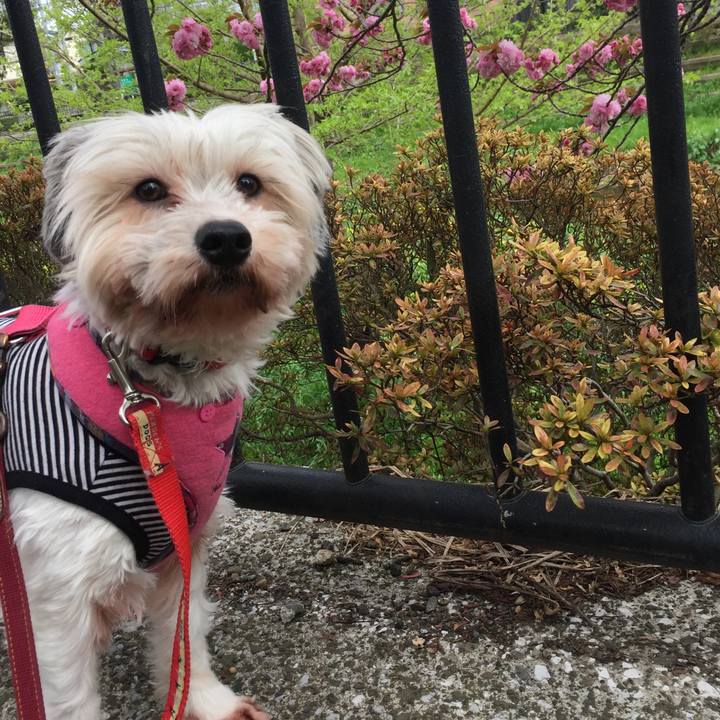 2c9c1ffd 6d2a 4d07 95ce 343b9db74e30 1522907224984