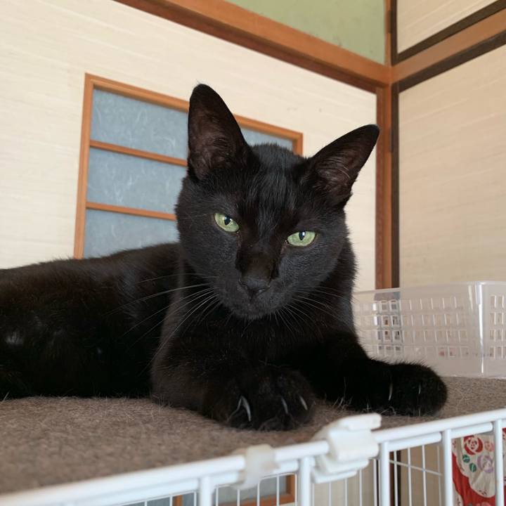 2c9ca6ed b98f 4ff5 b0c6 faead24098a2 1565049328773