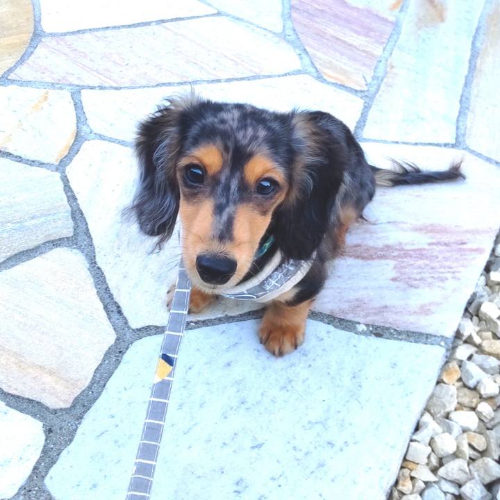 2c9cd105 2e9c 4c38 8a39 5f35090846f7 1701647322445