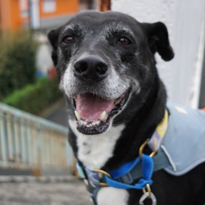 2c9ce33e ffbc 47a8 a683 0c2b6d1cb510 1759624188118