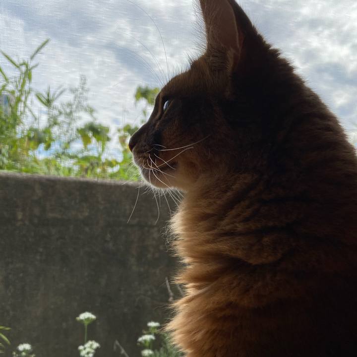 2c9cf576 bbb3 4ddf b394 2a87599357c9 1663738722014