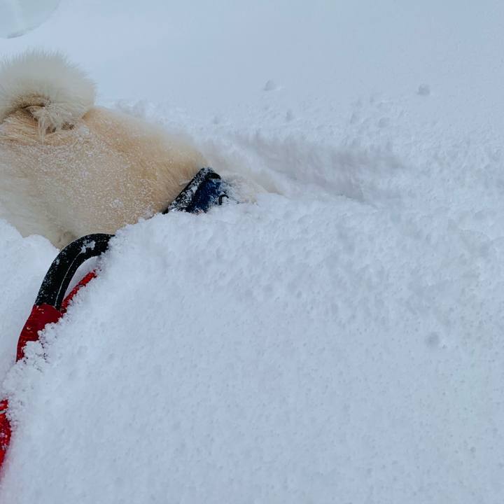 2c9d05c0 62dd 49a3 8e27 d4aecf7d0bde 1644105762468