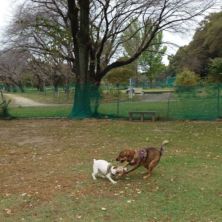 2c9d43ca c3f0 470c b8f5 25d00de177a9 1761355630627