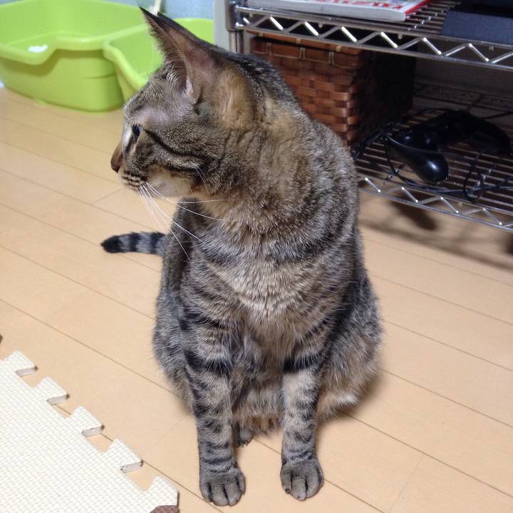 2c9d4b60 549a 48c1 bbe9 85a6b5bfc602 1513440829357