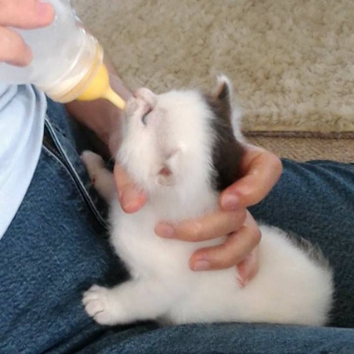 2c9d5cad c04d 4625 b5b7 9f524a611ce9 1766378190015