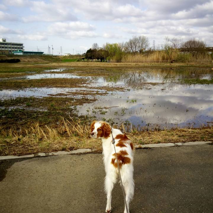 2c9da155 ee53 4e85 aa76 add701b1b3eb 1521768653329