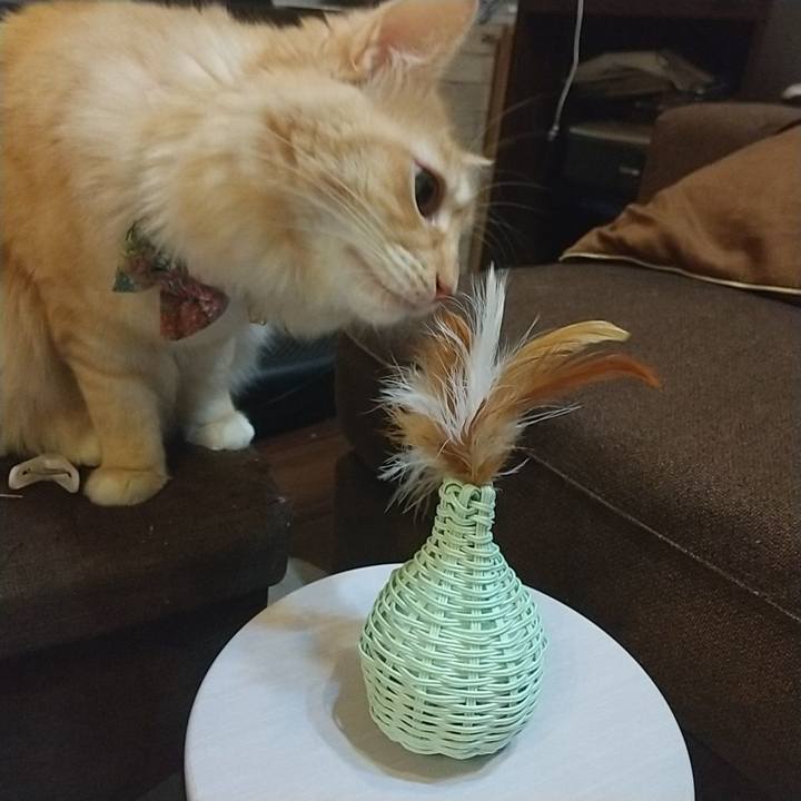 2c9deeec 2c6c 407d 8085 ff31e0759288 1637762811493