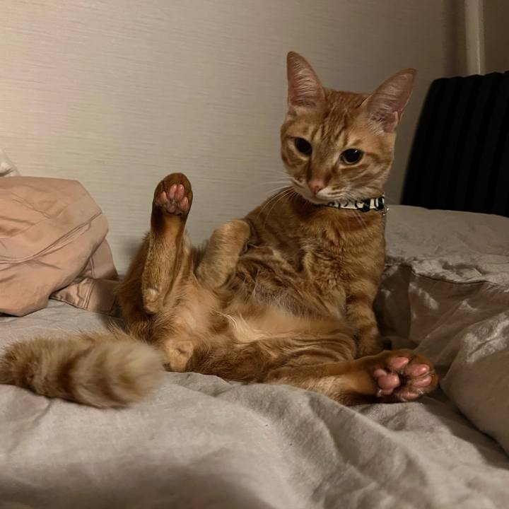 2c9df22b 0cf8 4fc9 a0c9 f5b1ac9f2a37 1648982527467