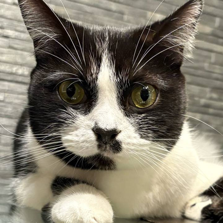 2c9e2408 f868 4421 ad92 13e6e5de7d9b 1762515264355