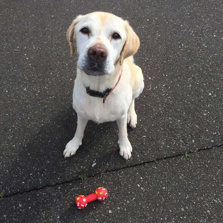 2c9e51b6 99e3 4ea2 8dba b4ac27c296f1 1555675877959