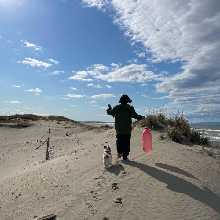 2c9e5722 57fc 4802 a866 8f2a89f3273d 1666253666537